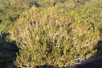 /album/casa-del-suizo/img-8214-jpg/