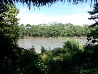 /album/le-fleuve/a100-0752-jpg/