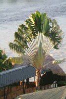 /album/le-fleuve/img-8198-jpg/