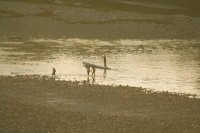 /album/le-fleuve/img-8203-jpg/