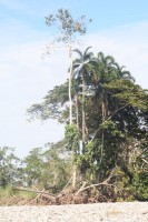 /album/le-fleuve/img-8271-jpg/