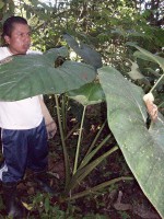 /album/reserve-de-casa/a100-0755-jpg/