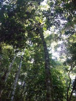 /album/reserve-de-casa/a100-0759-jpg/