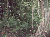 /album/reserve-de-casa/a100-0762-jpg/