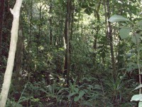 /album/reserve-de-casa/a100-0764-jpg/