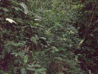 /album/reserve-de-casa/a100-0765-jpg/