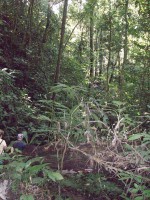 /album/reserve-de-casa/a100-0768-jpg/