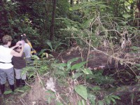 /album/reserve-de-casa/a100-0769-jpg/