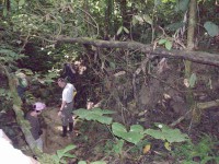 /album/reserve-de-casa/a100-0771-jpg/