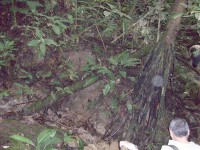 /album/reserve-de-casa/a100-0772-jpg/