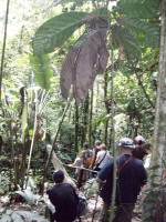 /album/reserve-de-casa/a100-0804-jpg/