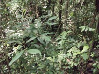 /album/reserve-de-casa/a100-0813-jpg/