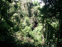 /album/reserve-de-casa/a100-0840-jpg/