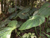 /album/reserve-de-casa/a100-0886-jpg/