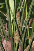 /album/reserve-de-casa/img-8284-jpg/