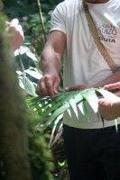 /album/reserve-de-casa/img-8299-jpg/