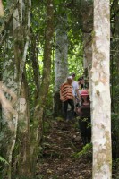 /album/reserve-de-casa/img-8335-jpg/