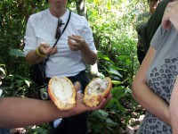 /album/ile-anaconda/a100-0635-jpg/