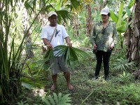 /album/ile-anaconda/a100-0644-jpg/