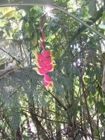 /album/ile-anaconda/a100-0663-jpg/