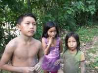 /album/ile-anaconda/a100-0668-jpg/