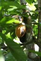 /album/ile-anaconda/img-8135-jpg/