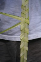 /album/ile-anaconda/img-8141-jpg/