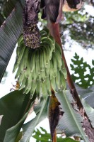 /album/ile-anaconda/img-8148-jpg/