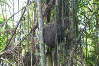 /album/ile-anaconda/img-8169-jpg/