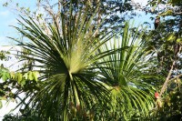 /album/ile-anaconda/img-8173-jpg/