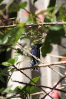 /album/galerie-de-photos-quito/img-7982-jpg/