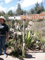 /album/ligne-equinoxiale/a100-0464-jpg/