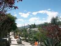 /album/ligne-equinoxiale/a100-0468-jpg/