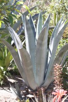 /album/ligne-equinoxiale/img-7929-jpg/