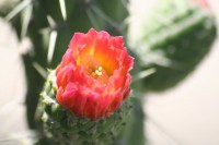 /album/ligne-equinoxiale/img-7936-jpg/