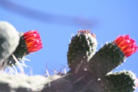 /album/ligne-equinoxiale/img-7942-jpg/