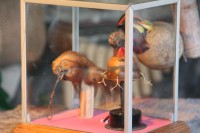 /album/ligne-equinoxiale/img-7945-jpg/