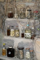 /album/ligne-equinoxiale/img-7948-jpg/