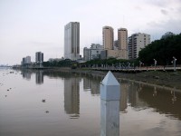 /album/guayaquil/a100-1288-jpg/