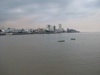/album/guayaquil/a100-1308-jpg/