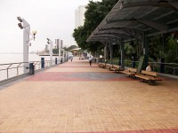 /album/guayaquil/a100-1421-jpg/