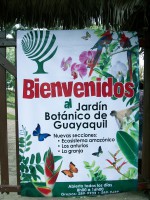 /album/jardin-botanique/a100-1350-jpg/