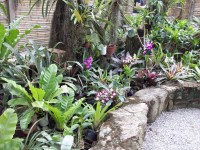 /album/jardin-botanique/a100-1358-jpg/