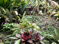 /album/jardin-botanique/a100-1374-jpg/