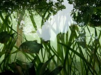 /album/jardin-botanique/a100-1399-jpg/