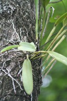 /album/jardin-botanique/img-8812-jpg/