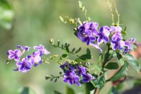 /album/jardin-botanique/img-8884-jpg/