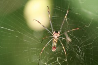 /album/jardin-botanique/img-8894-jpg/