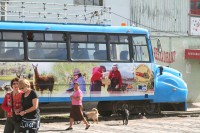 /album/galerie-de-photos-guamote/img-8730-jpg/