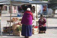 /album/galerie-de-photos-guamote/img-8734-jpg/